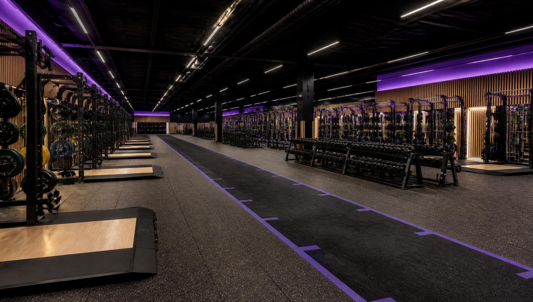 Illustrative view of the proposed strength and conditioning gym with lifting platforms, racks and an indoor sprint track