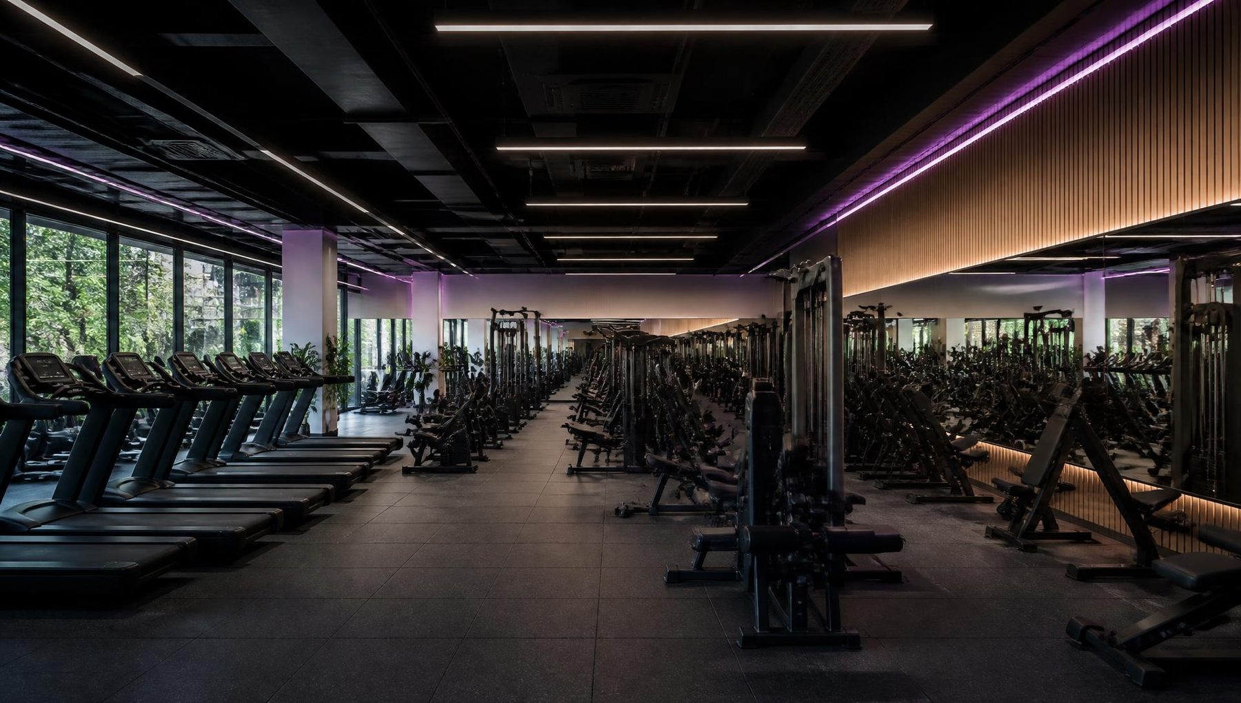 Illustrative view of the proposed women’s gym floor with rows of cardio and resistance stations beneath a dark ceiling with violet cove lighting
